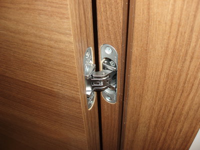 Concealed hinges